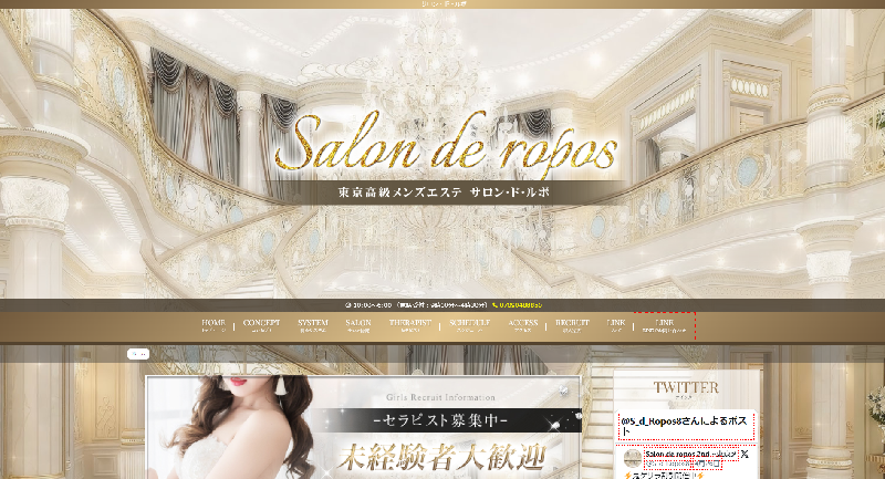 新大久保サロンドルポ　カバー